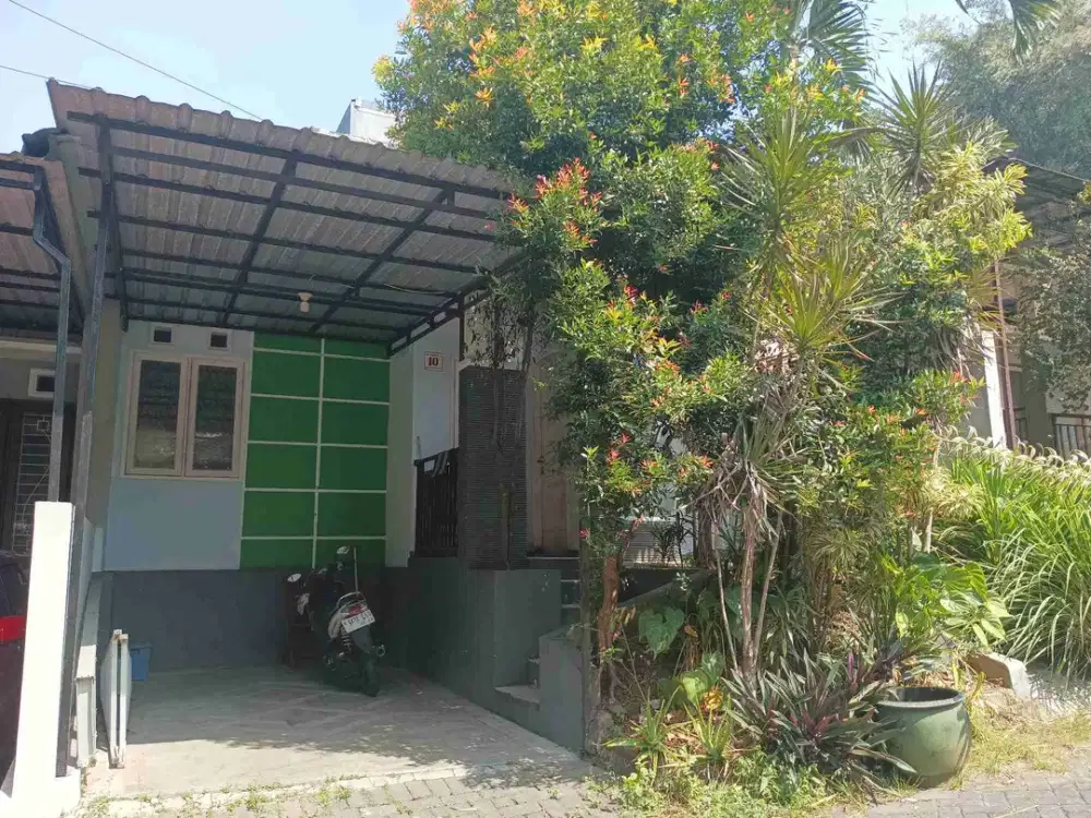 Rumah Huni Sulfat Rivera