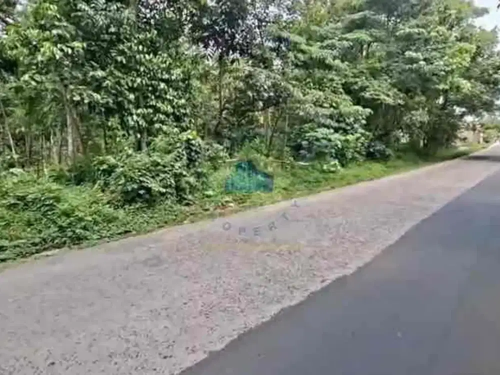 Jual Tanah Murah Zona Industri di Cibadak Lebak Banten