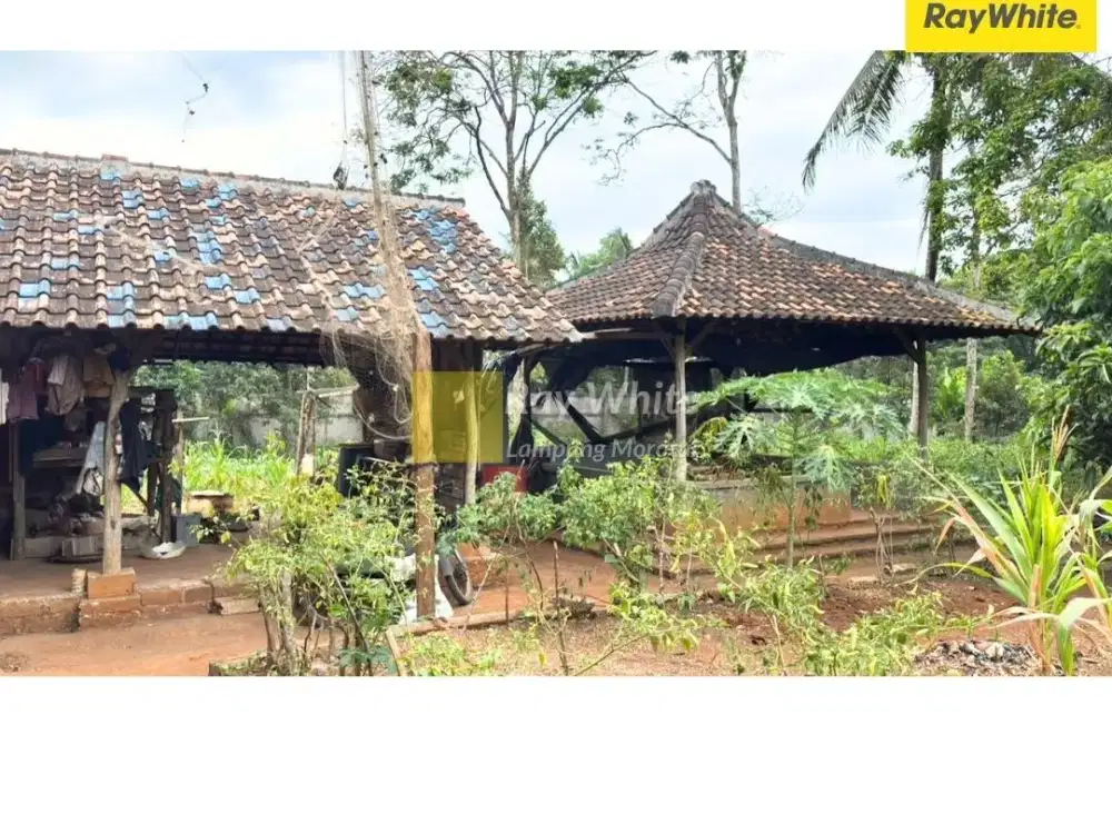 Dijual Tanah di Sukadana, Bandar Lampung (Kode : MEL ALF 3721)