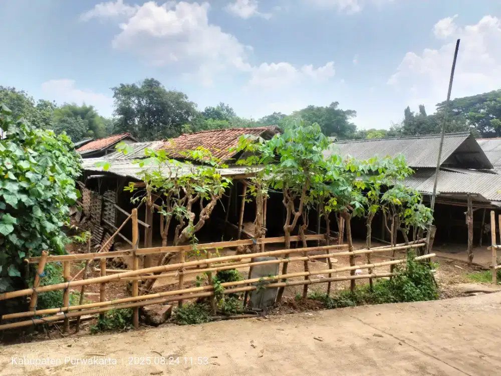 Jual tanah bekas kandang sapi