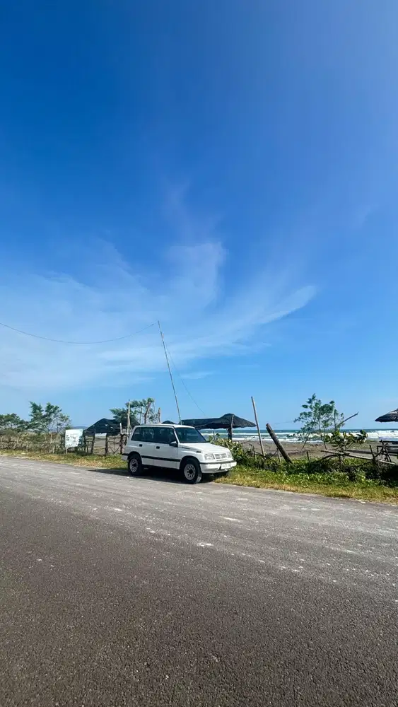 ESCUDO MULUS ANTIK OTENTIK