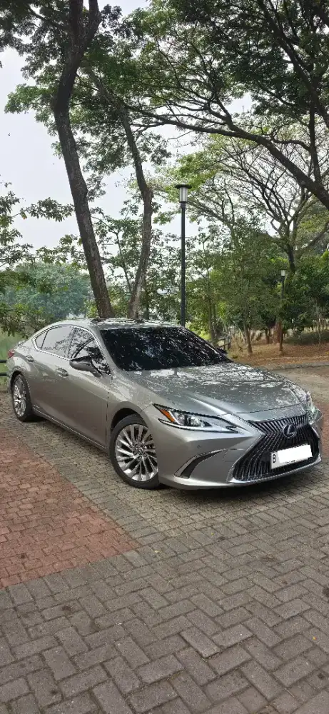 Lexus ES 300h Hybrid Ultra Luxury