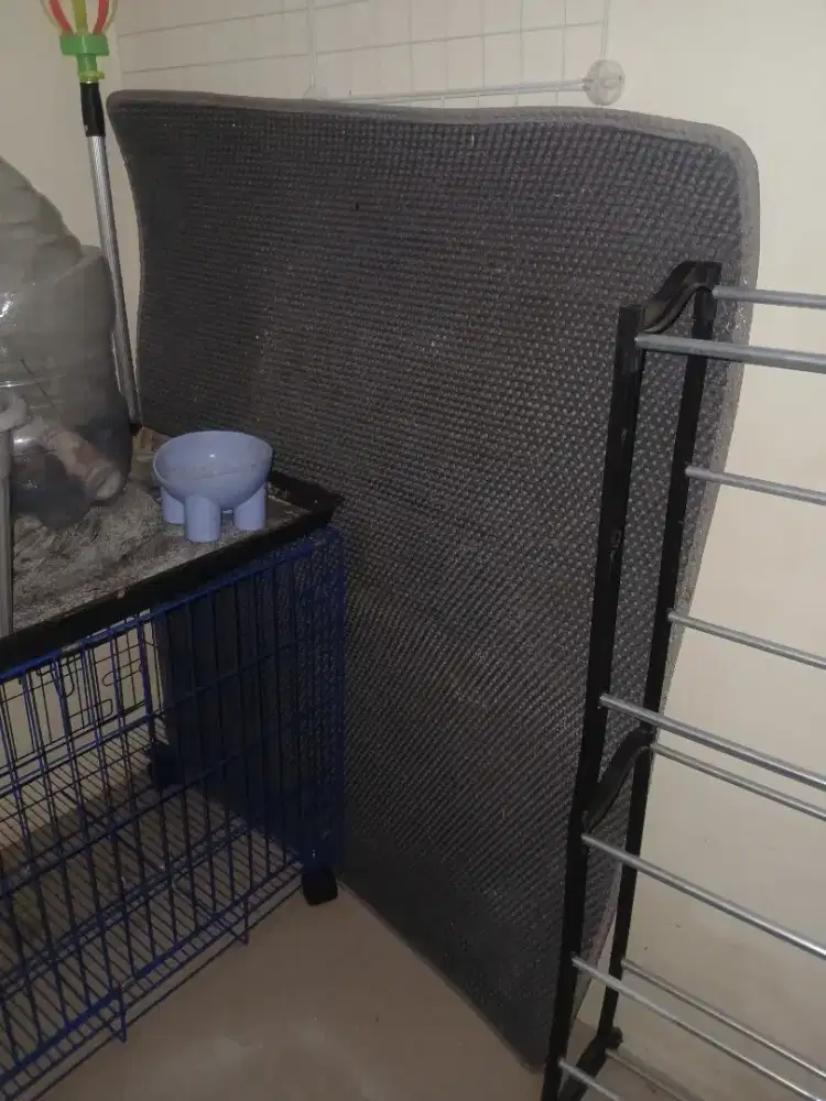 Karpet pasir kucing kucing jumbo abu² setengah harga