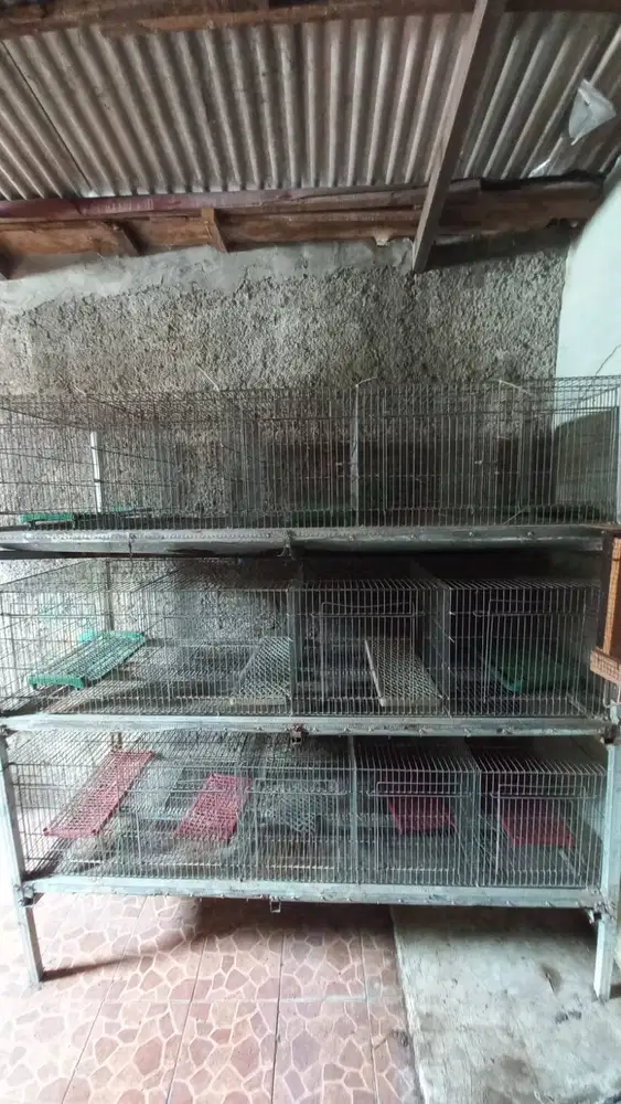 KANDANG KELINCI DAN AKSESORIS