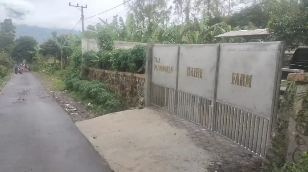 Jual villa dan peternakan sapi perah