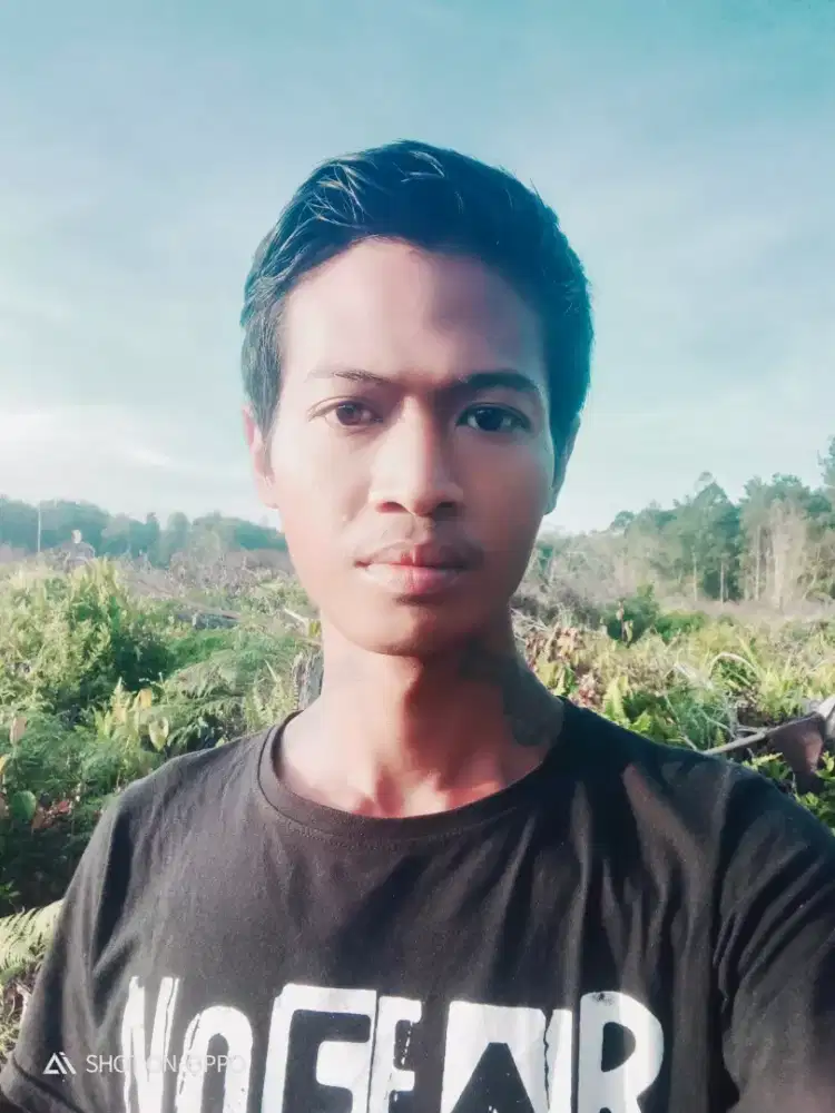 Cari pekerjaan supir atau yang lainya
