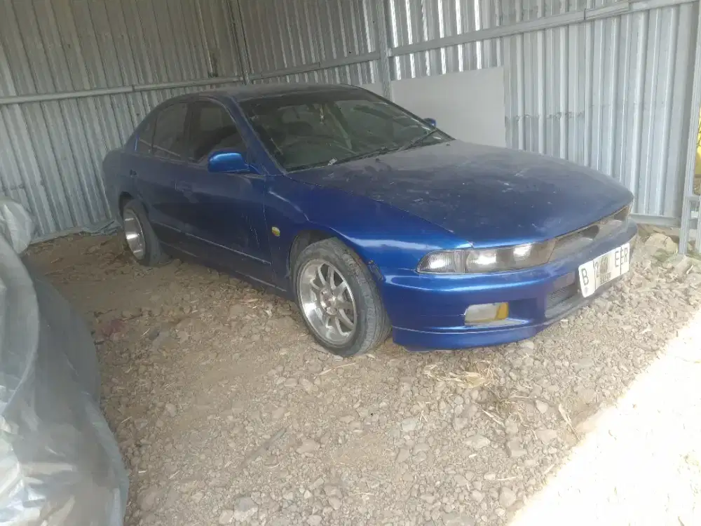 kampakan galant hiu