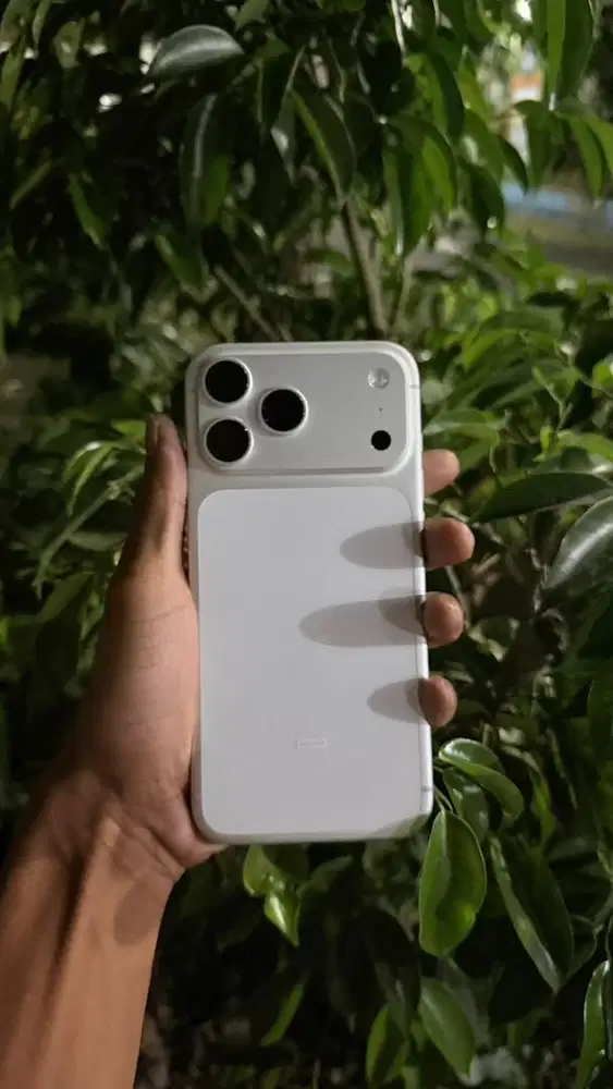 Iphone 17 promax 256 - silver