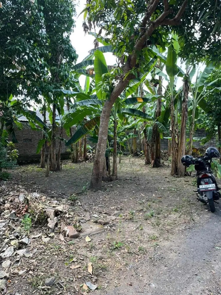 Tanah Murah 196m2 Berbah