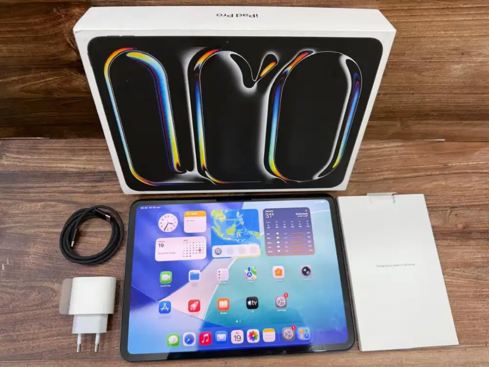 Ipad Pro M4 11 inch Wifi 256GB Black Ex ibox Mulus Normal Bisa COD
