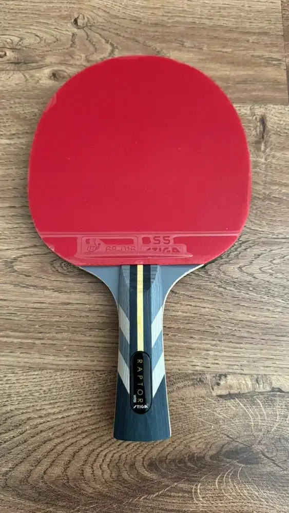 Tennis meja stiga