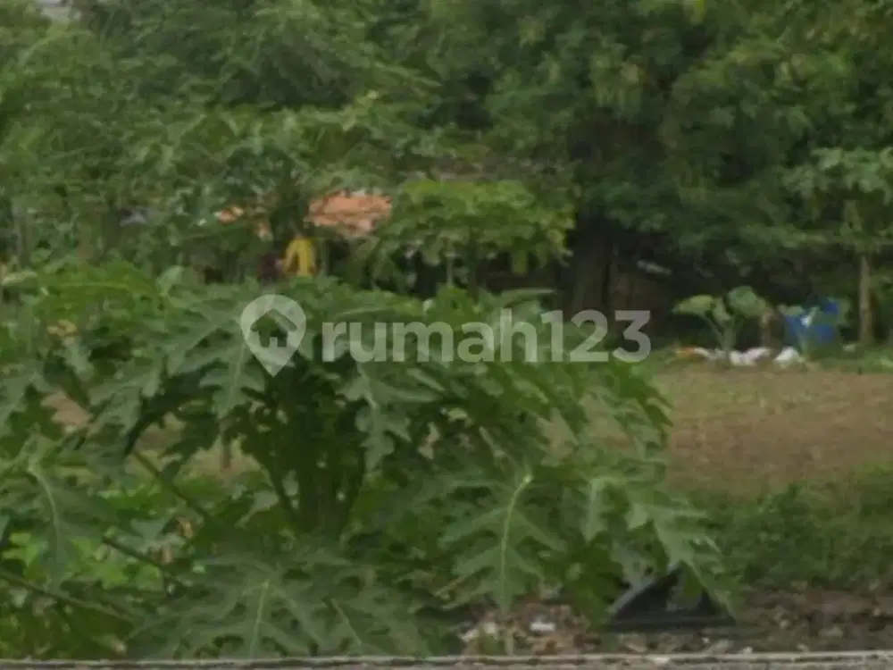 Dijual Murah Tanah Di Cimone Kec Karawaci Tangerang