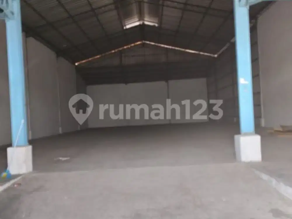 Di Sewakan Ruko Di Kamal Raya Di Gudang 88 Tegal Alur Kondisi Masih Bagus Dan Luas