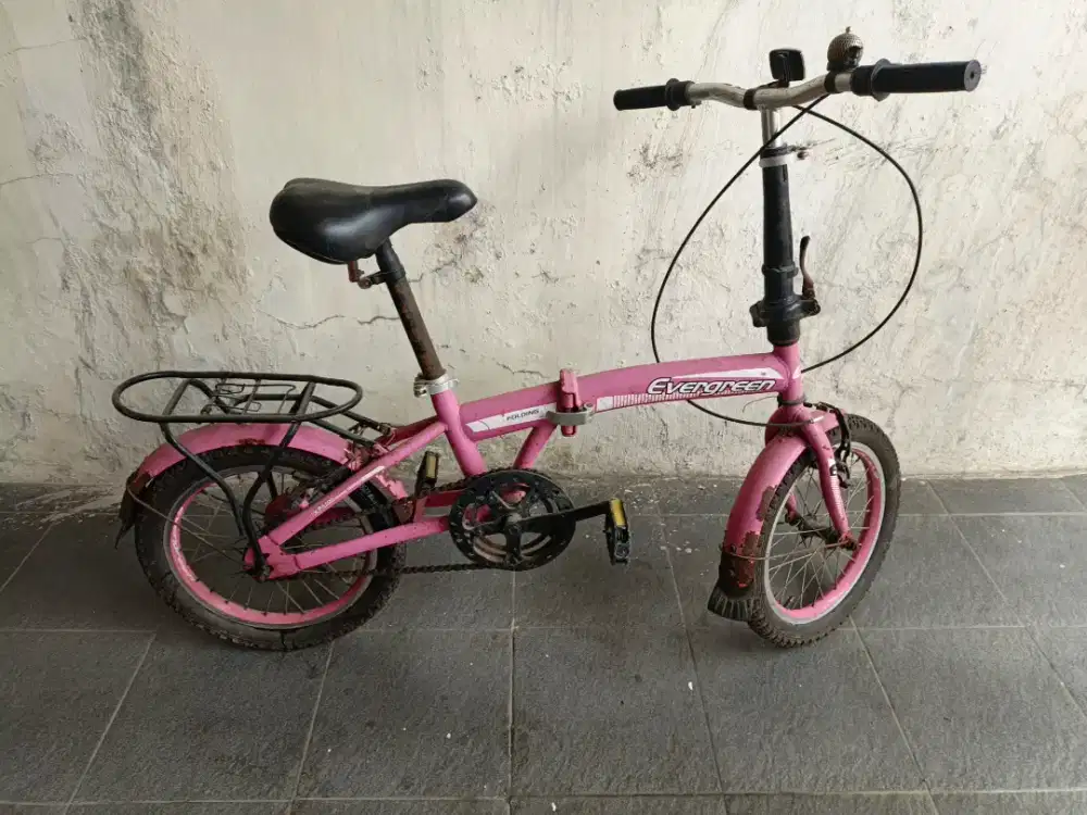Sepeda Anak Evergreen