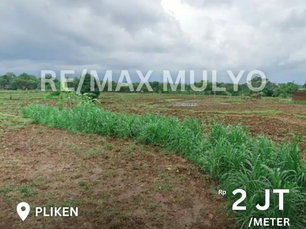 Dijual Tanah Subur dan Luas Area Pliken