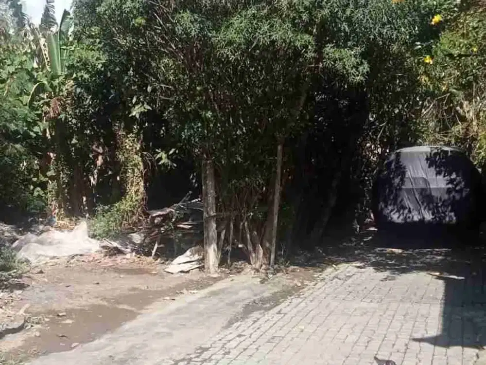Tanah sedap malam Denpasar timur bali