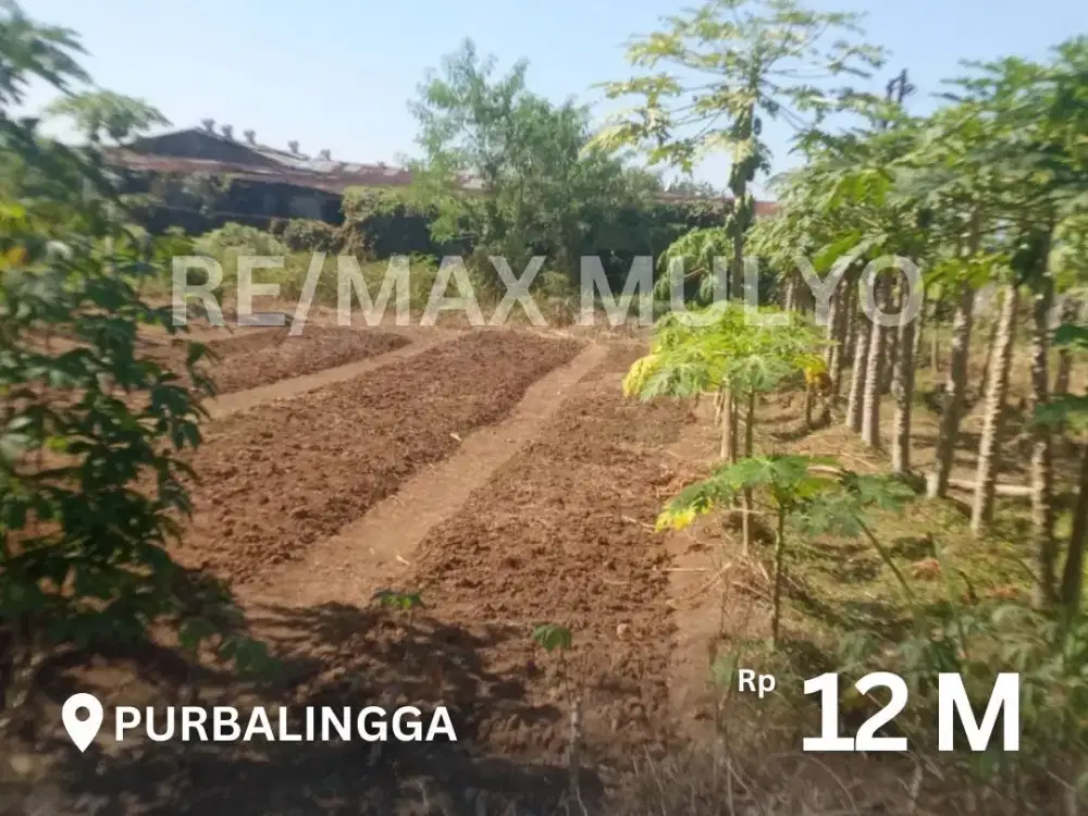 Dijual Tanah Subur Seluas 8.830 m2 Lokasi Purbalingga