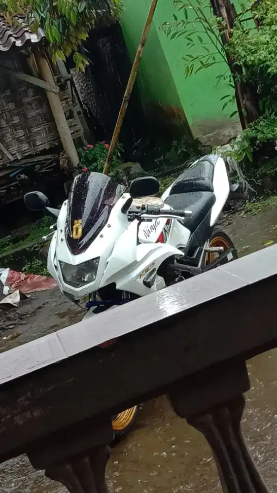 Ninja RR 2013 SE