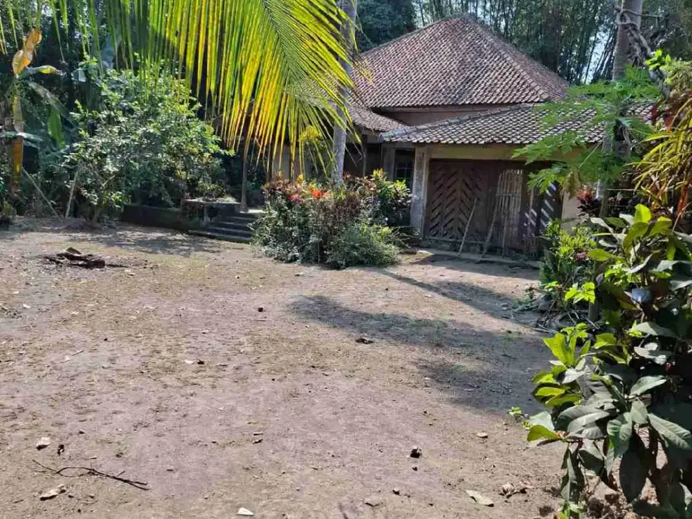 Tanah Luas Murah di Mungkid Magelang Cocok buat Investasi