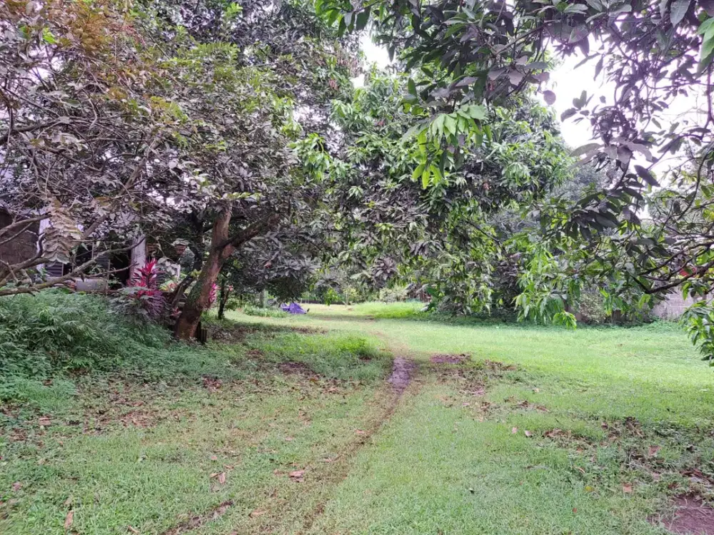 TERMURAH DIJUAL TANAH SHM LOKASI STRATEGIS DEKAT KOTA WISATA CIBUBUR