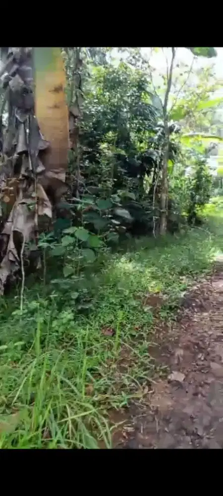 TANAH 442 m² SHM DI CILONGOK BANYUMAS