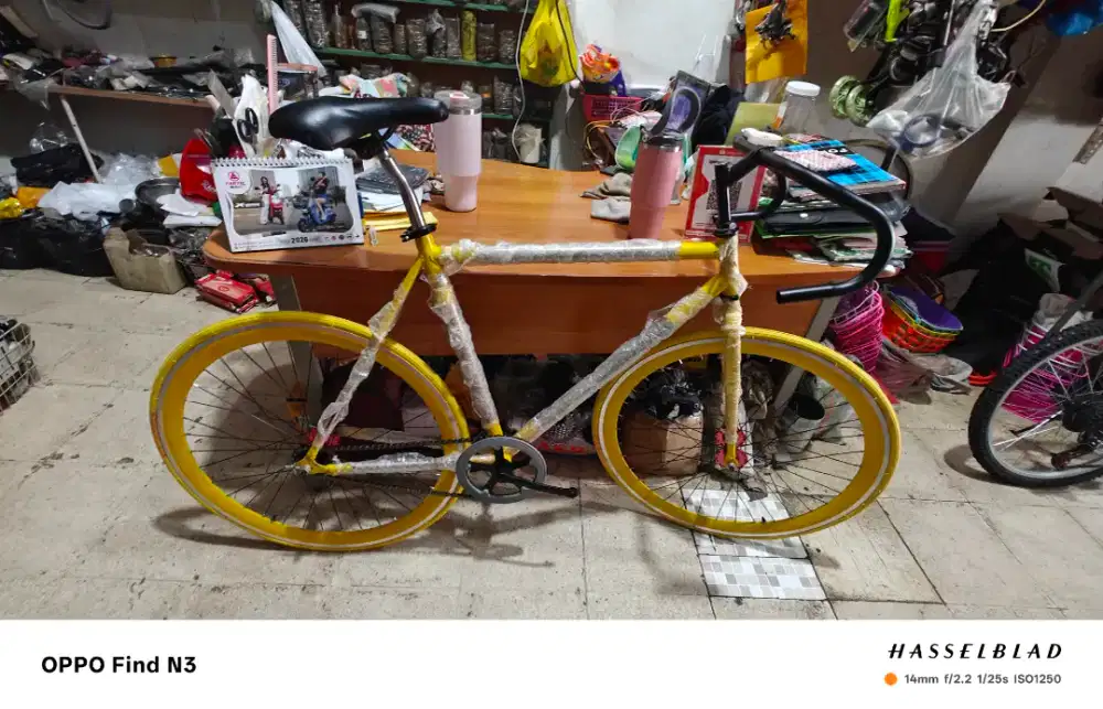 Ready fixie untuk dewasa