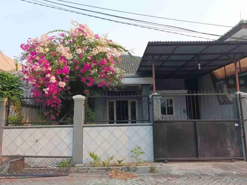 Dijual Rumah Di Mojo Kidul Lokasi Strategis