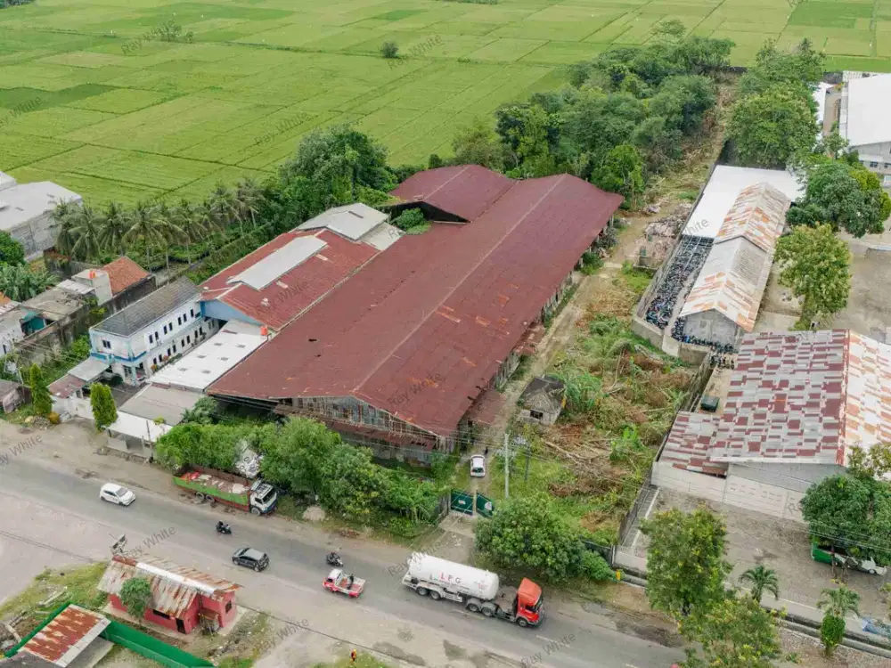 Tanah Strategis 1,3 Ha Di Jalan Utama Purbowangi Kebumen Area Pergudangan & Industri Purbowangi Buayan Kebumen