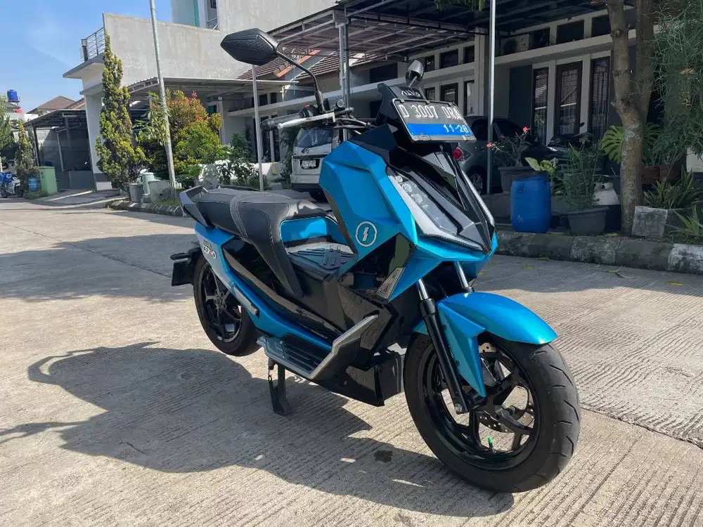 ALVA CERVO 2023