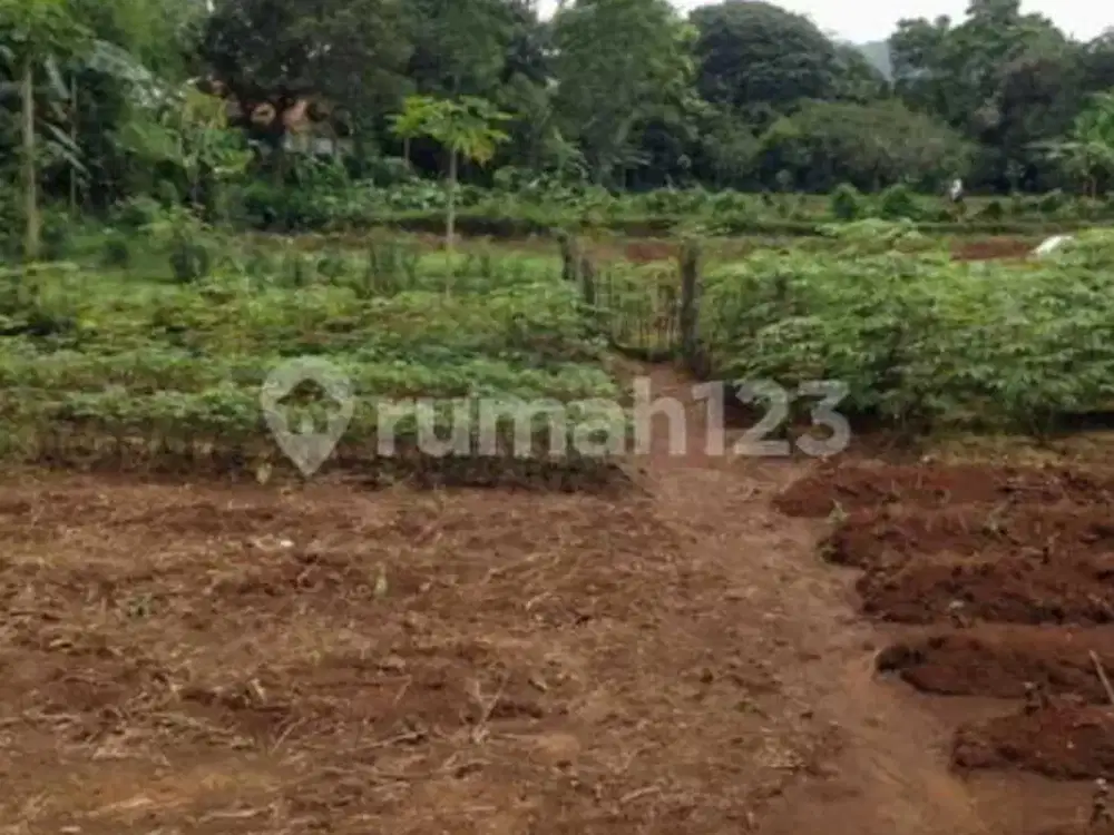 Kavling Lahan di Bawah Harga Pasar Ciampea, Bogor