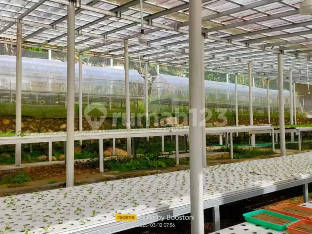 Investasi Properti Sekaligus Bisnis Siap Jalan Green House 931 M2 di Sukamakmur, Bogor!