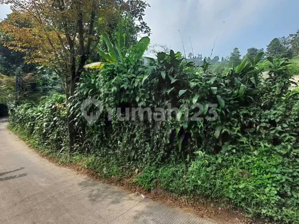 Kavling Tanah Area Gunung Geulis Sentul Harga di Bawah NJOP di Pinggir Jalan Lodaya Dekat Cisadon