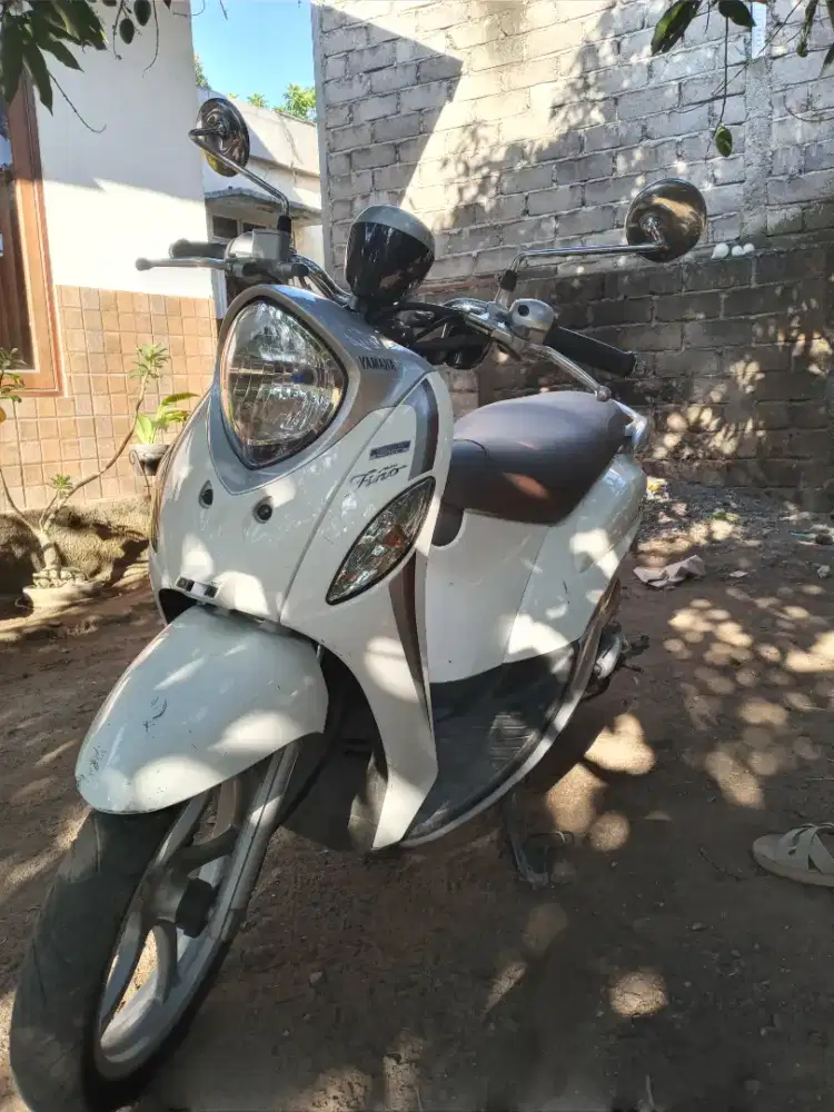 FINO PREMIUM 2022