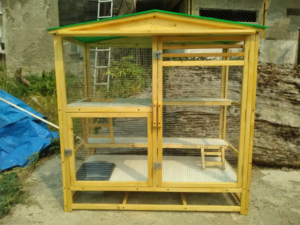 Rumah Kucing Premium