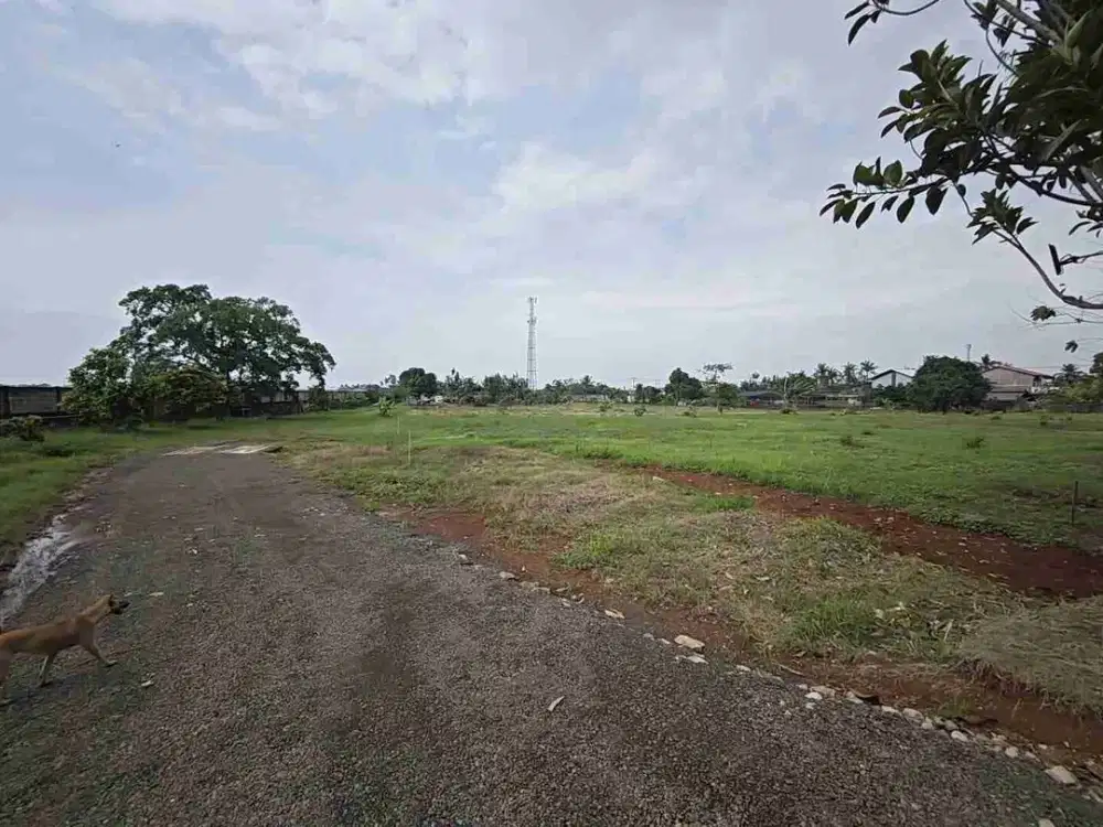 Di Jual Cepat Tanah Strategis Pada Siap Bangun Di Teluk Naga