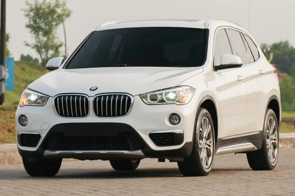 BMW X1 F48 XLine 2019 Panoramic