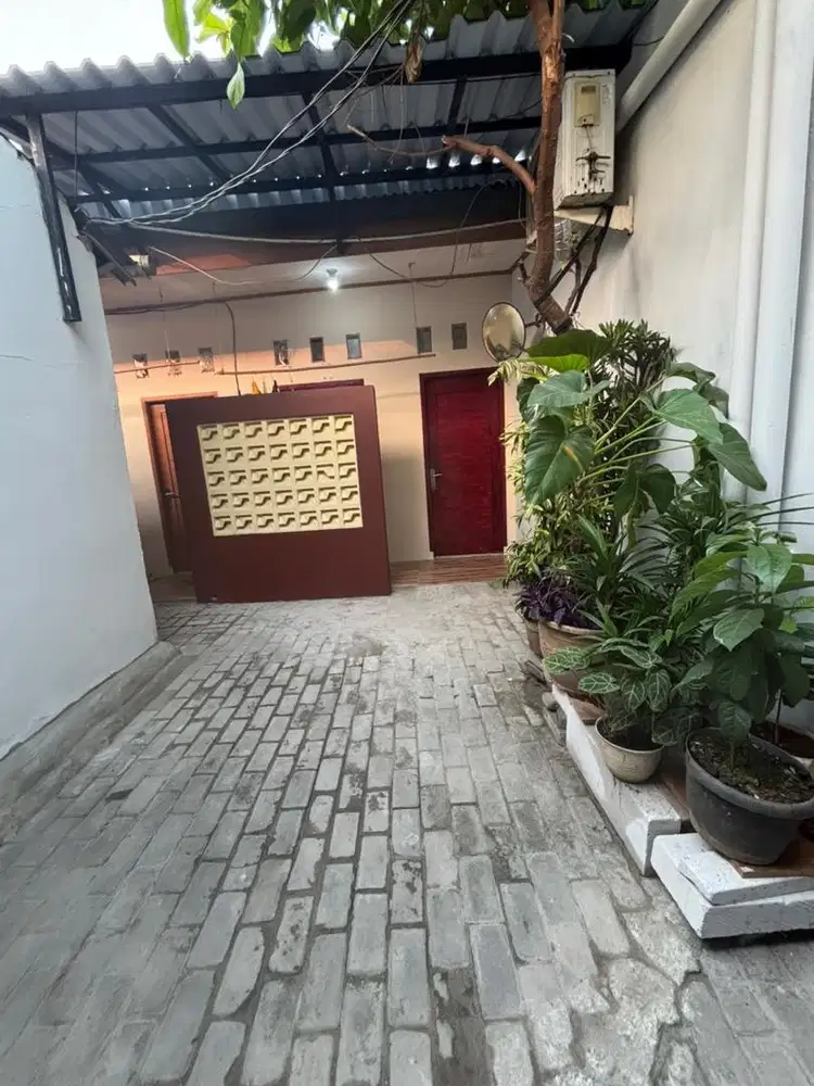 Rumah kontrakan 3 petak