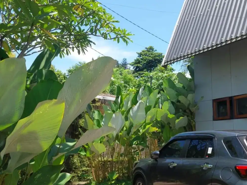 ID:H-98 Disewakan Rumah Semi Villa Abianbase Mengwi Bali Dekat Canggu Tabanan Tanah Lot Denpasar
