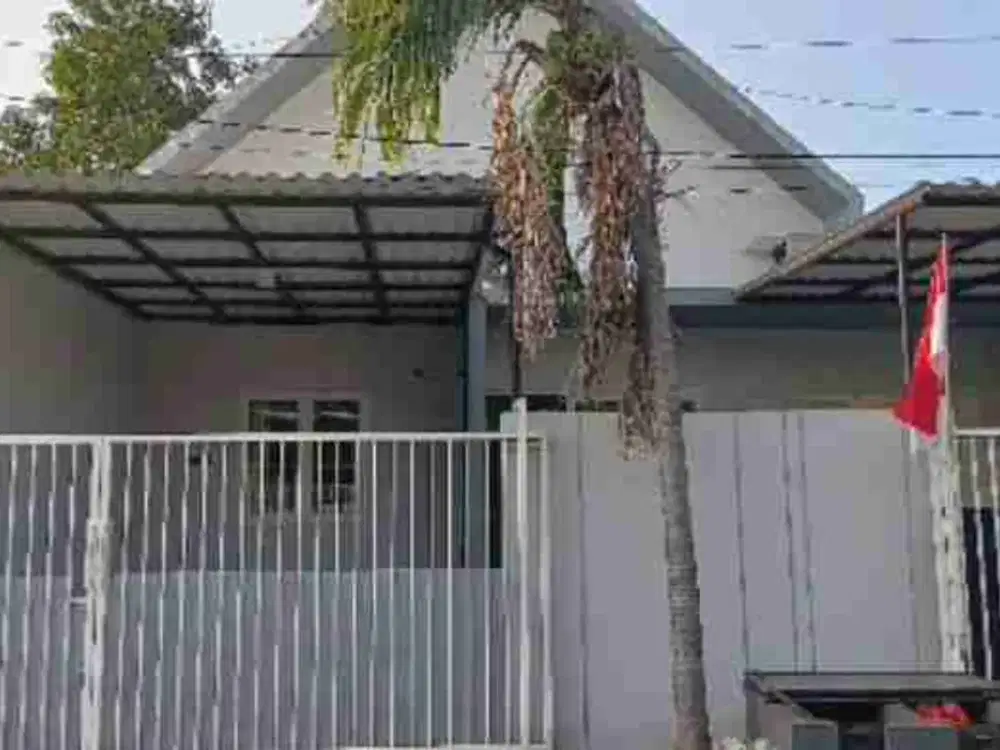 disewakan rumah semolowaru bangunan baru
