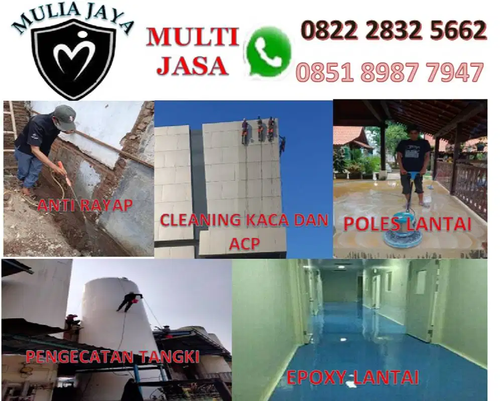 ANTI RAYAP BERGARANSI DI SURABAYA