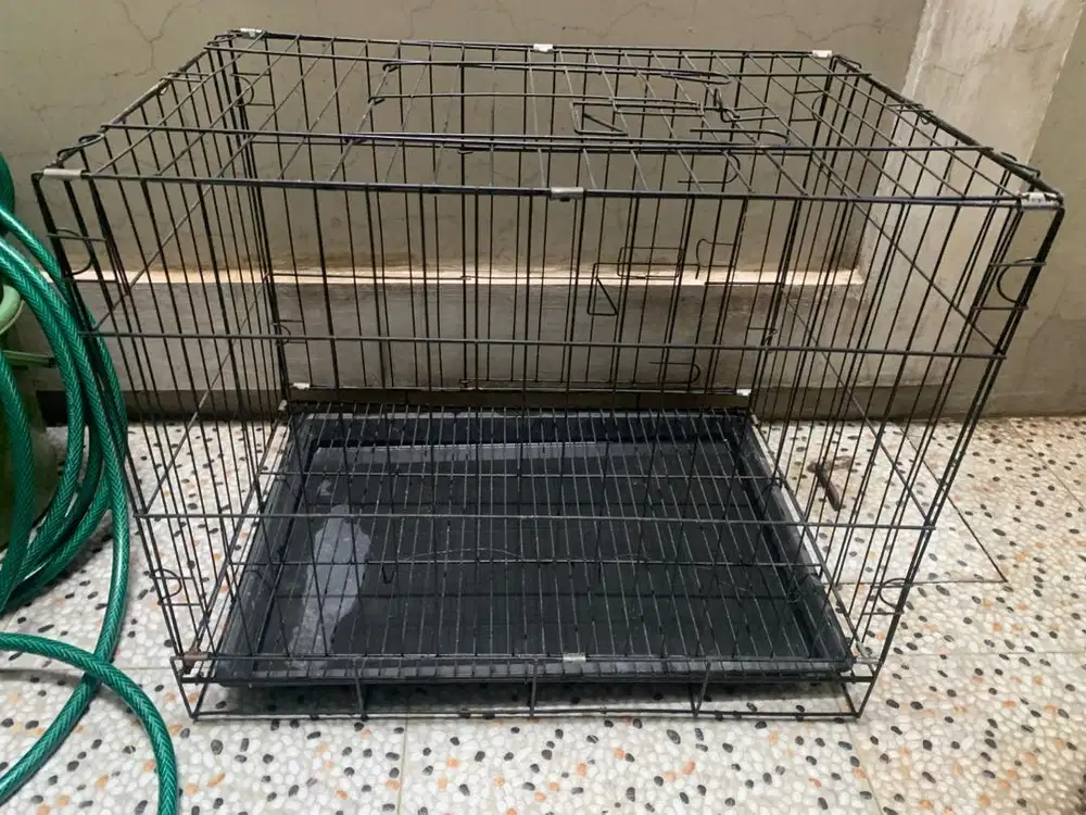 kandang kucing 60x40cm