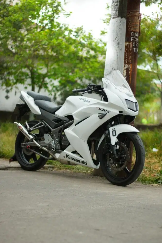 Ninja RR New 2013