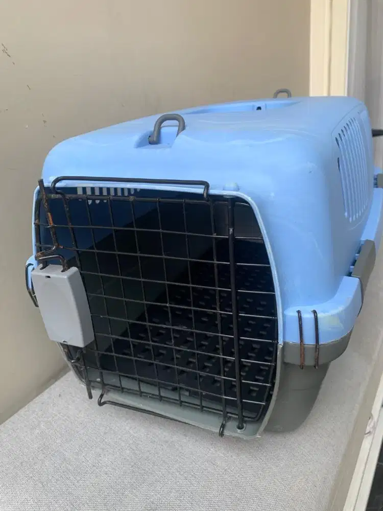 pet cargo kucing bekas