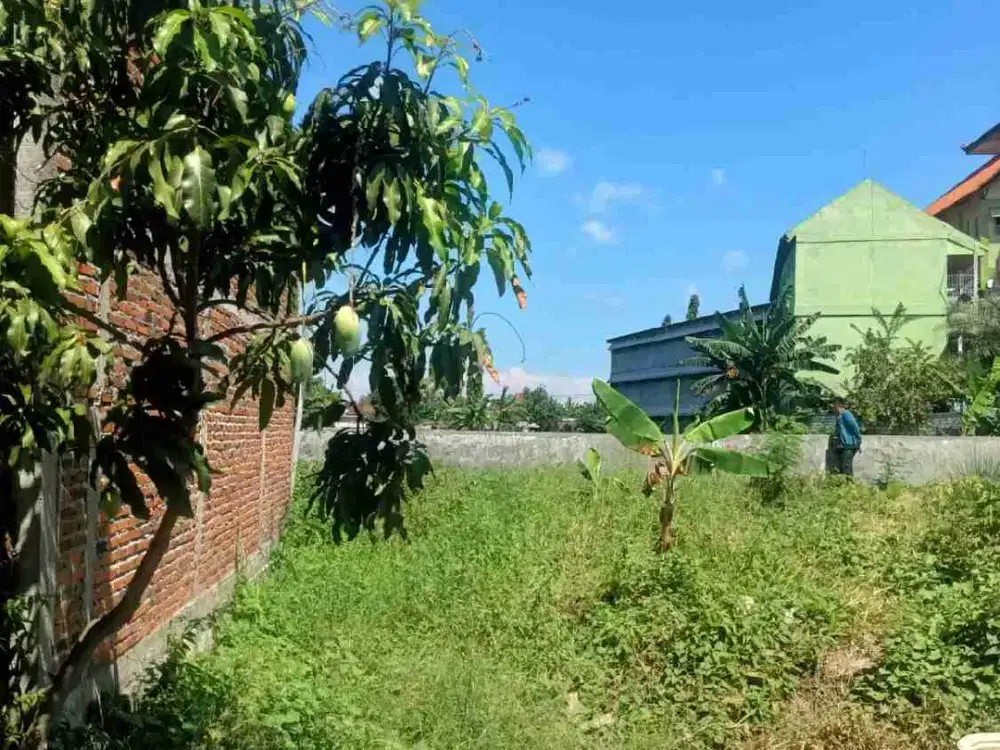 Tanah Murah Lokasi Pakal Surabaya