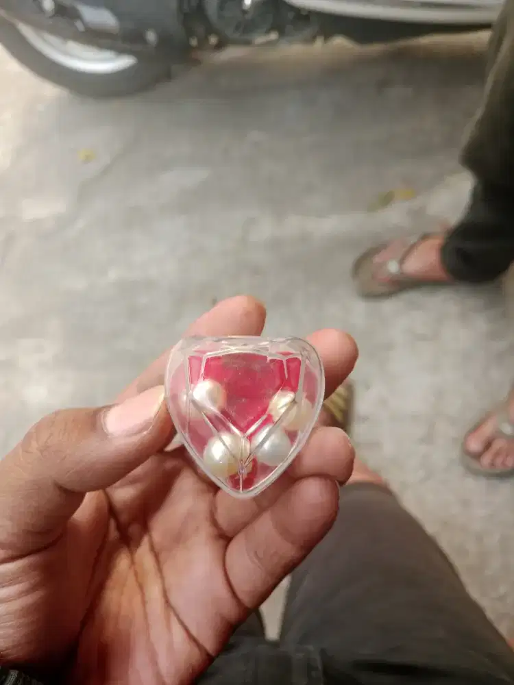 MUTIARA LAUT ASLI