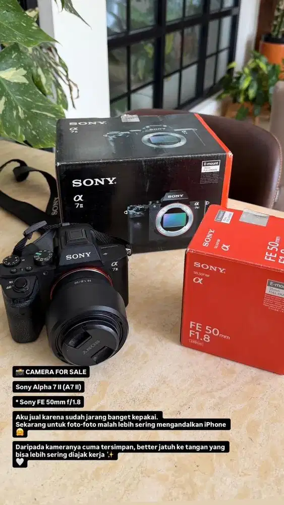 Sony Alpha 7 Mark II (A7 II)