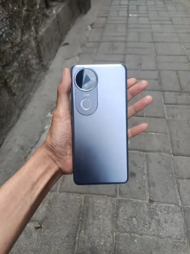 Vivo v50 12/256