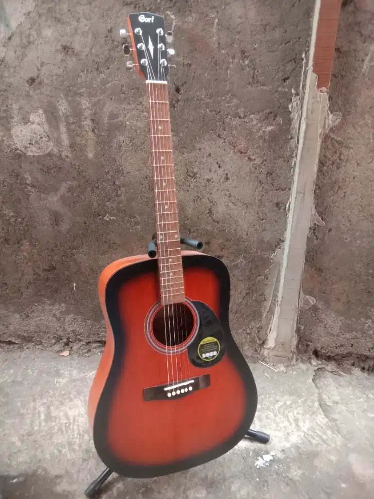 Cort akustik jumbo