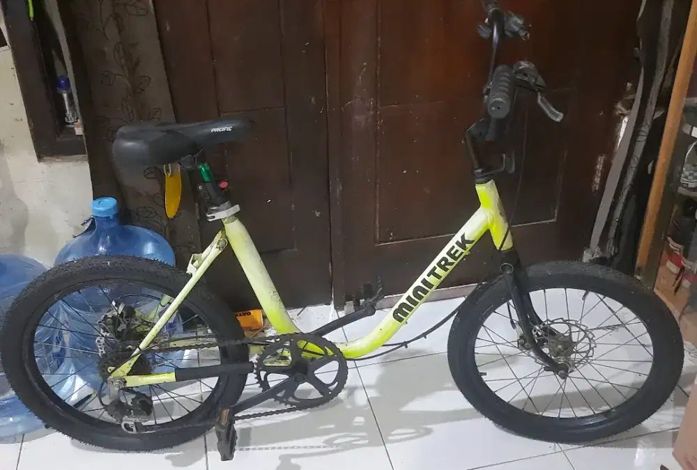 Sepeda Minion classic