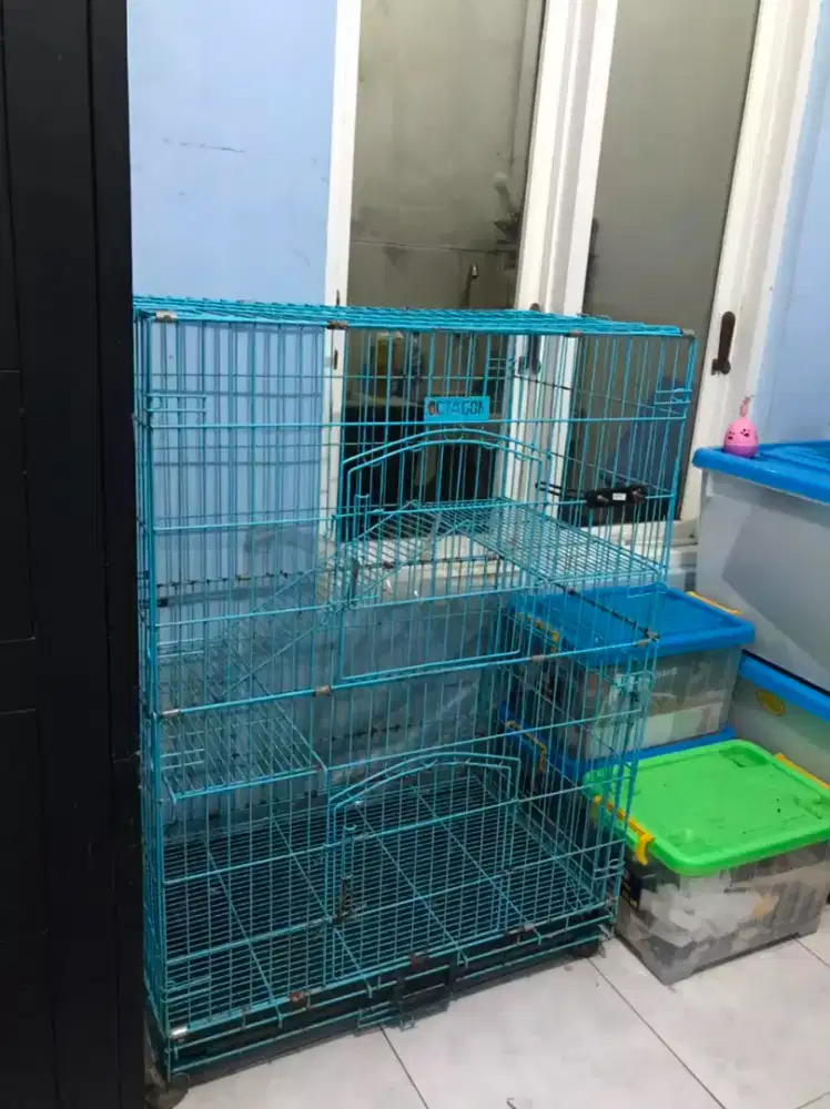 Kandang Kucing Besar